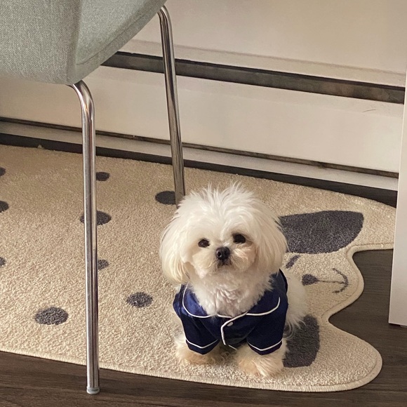 Meet your Posher, Rey - Picture 6 of 11